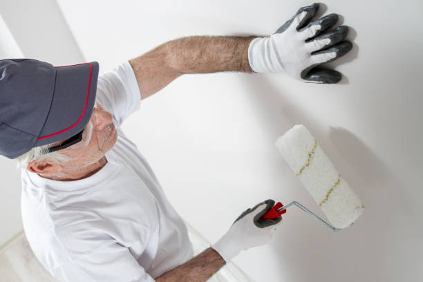 Best Mold Damage Restoration  in Beecher, IL