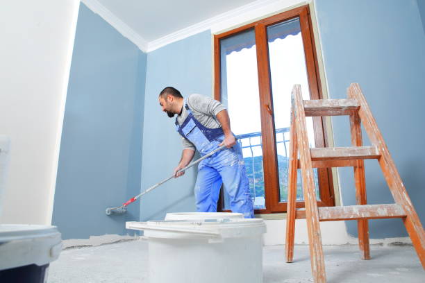 Best Post-Construction Mold Inspection  in Beecher, IL