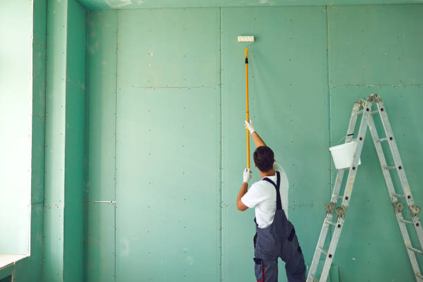 Best Water Damage & Mold Remediation  in Beecher, IL