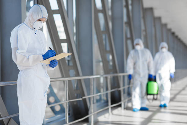 Best Asbestos and Lead Testing During Mold Inspection  in Beecher, IL