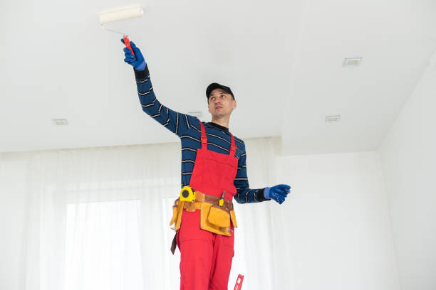 Best HVAC Mold Inspection and Cleaning  in Beecher, IL