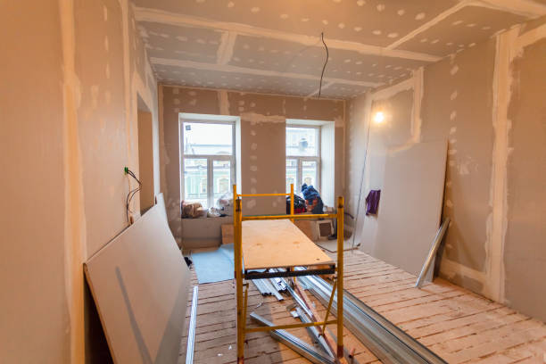 Best Environmental Consulting for Mold Prevention  in Beecher, IL