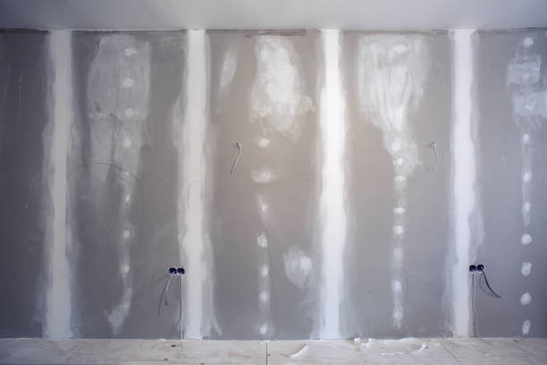 Best Mold-Related Health Consultation  in Beecher, IL